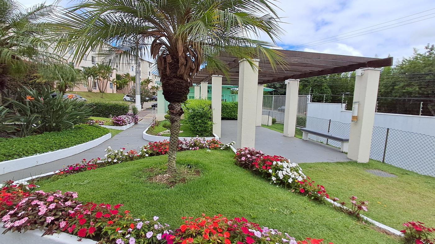 Apartamento, 2 quartos - Foto 13