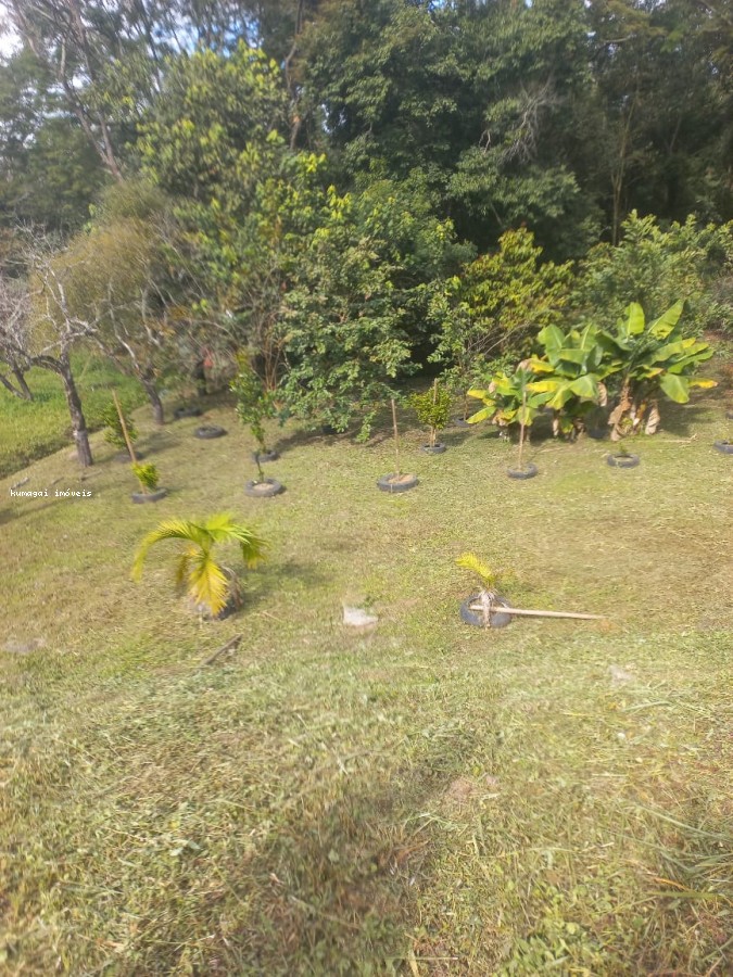 Terreno, 2642 m² - Foto 2