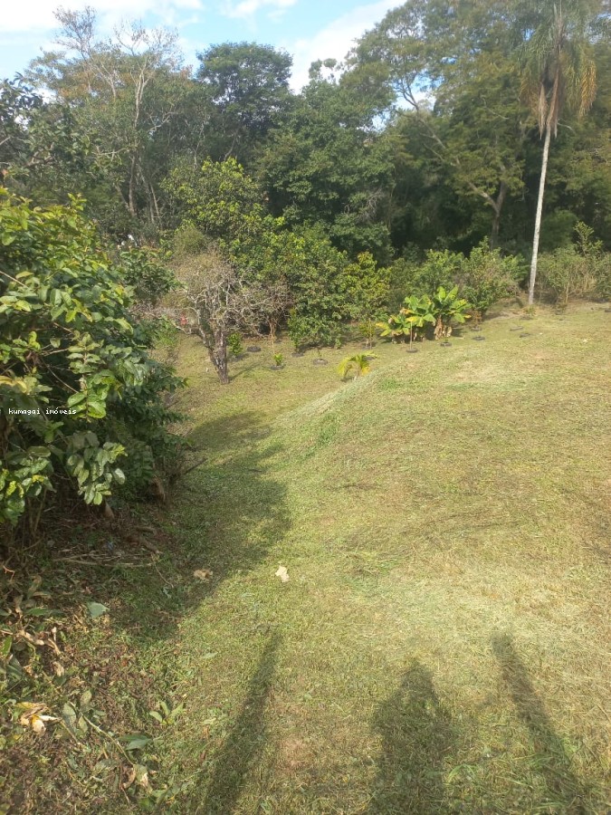 Terreno, 2642 m² - Foto 4