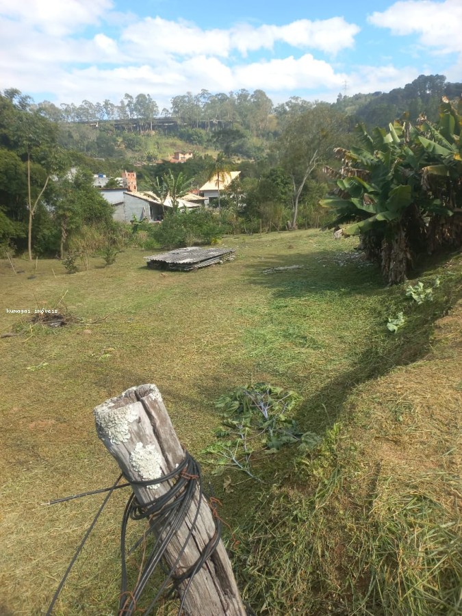 Terreno, 2642 m² - Foto 7