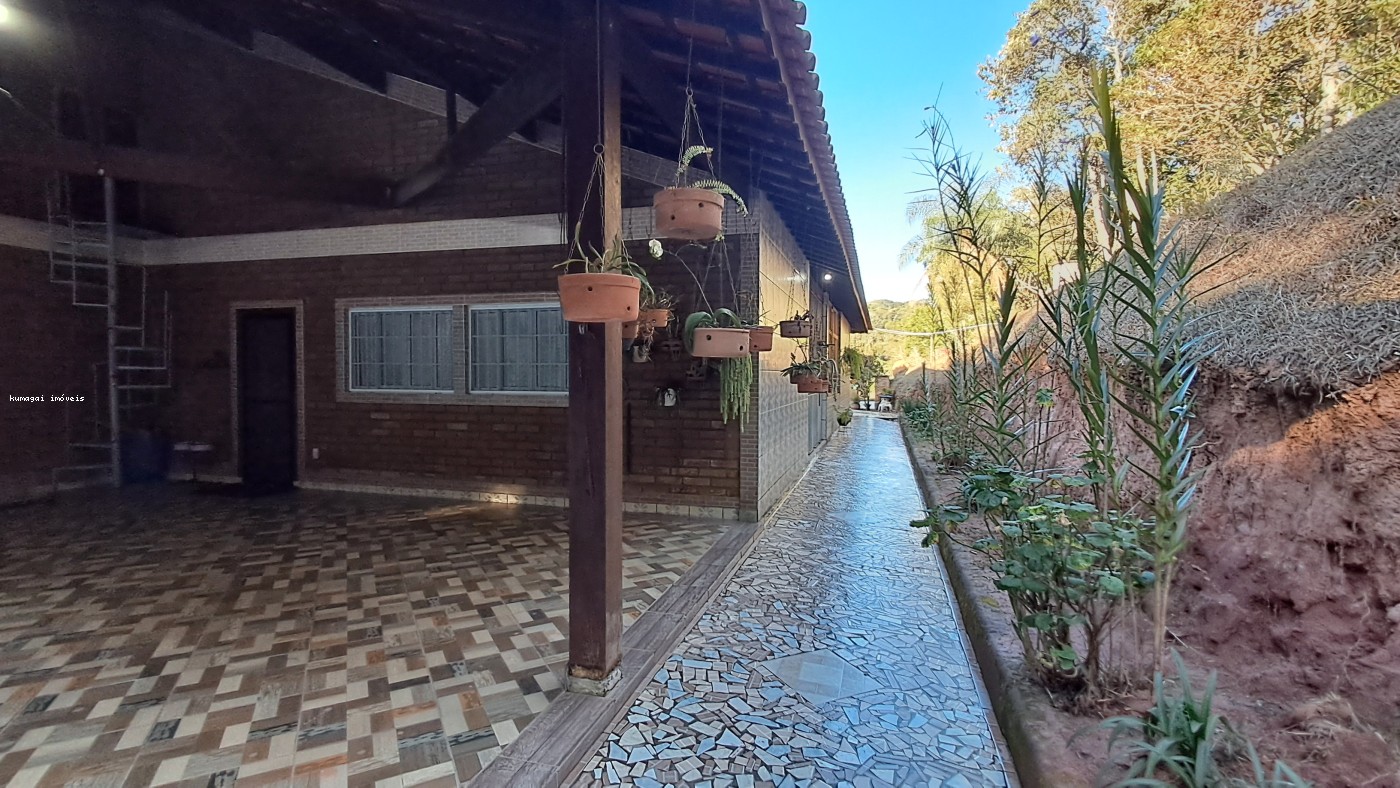 Chácara, 5 quartos, 2 hectares - Foto 7