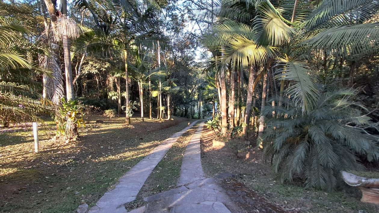 Chácara, 5 quartos, 2 hectares - Foto 4