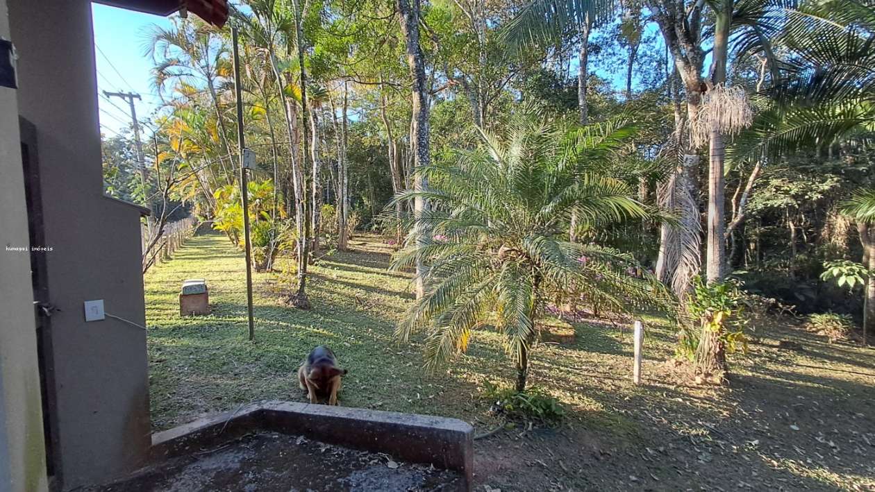 Chácara, 5 quartos, 2 hectares - Foto 3