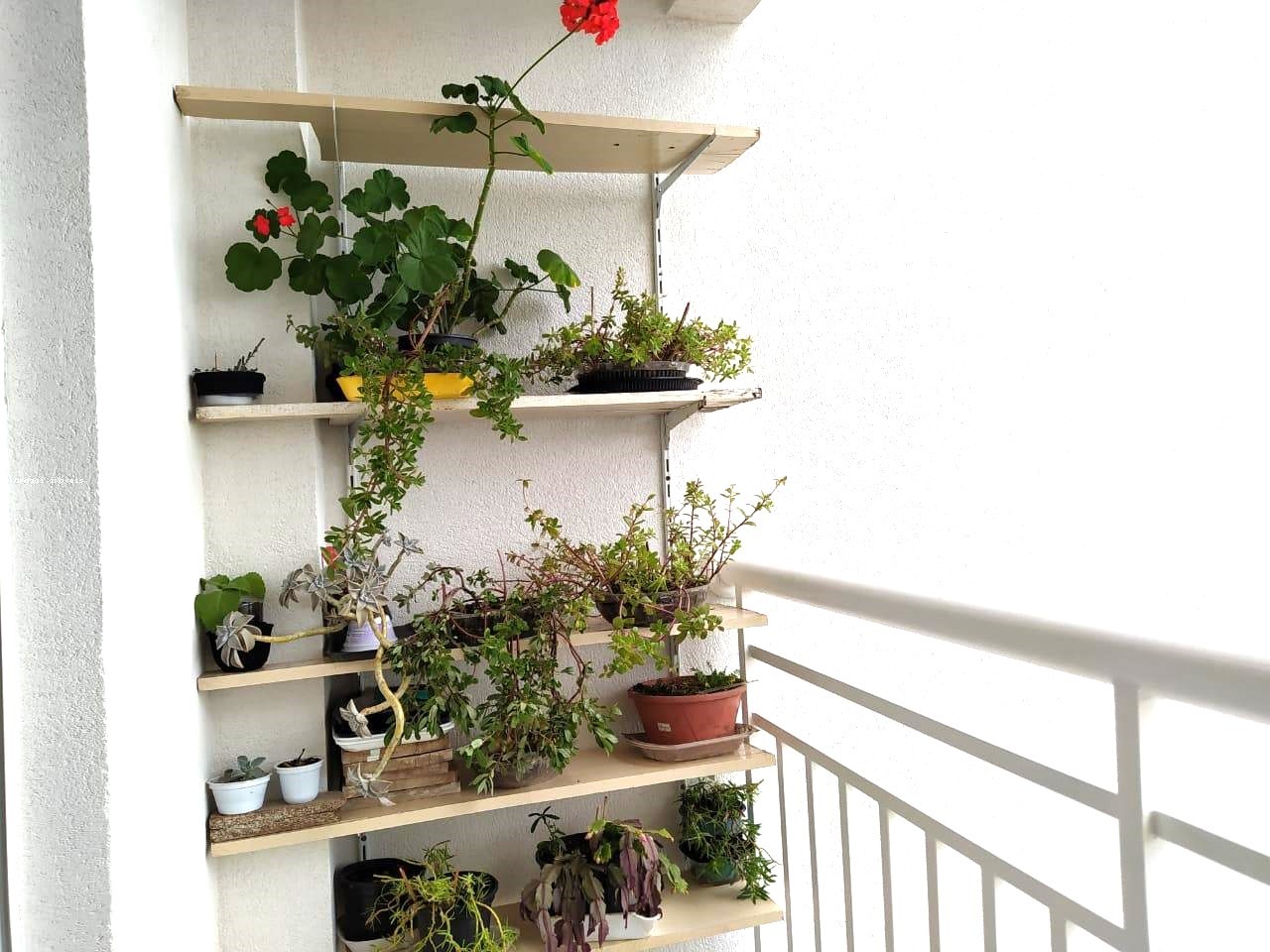 Apartamento, 2 quartos - Foto 11