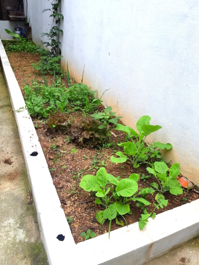 Sobrado, 3 quartos - Foto 10