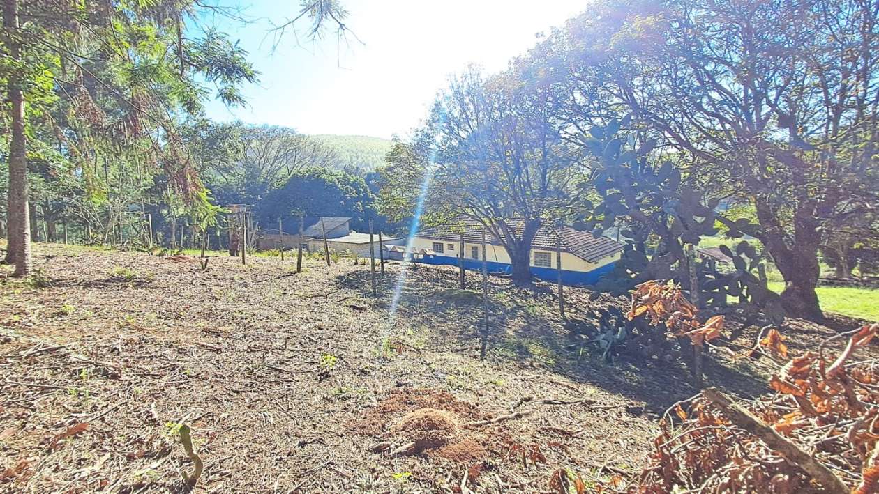 Sítio, 3 quartos, 4 hectares - Foto 6