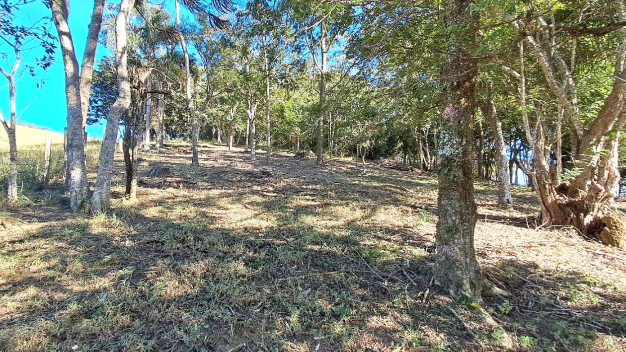 Sítio, 3 quartos, 4 hectares - Foto 4