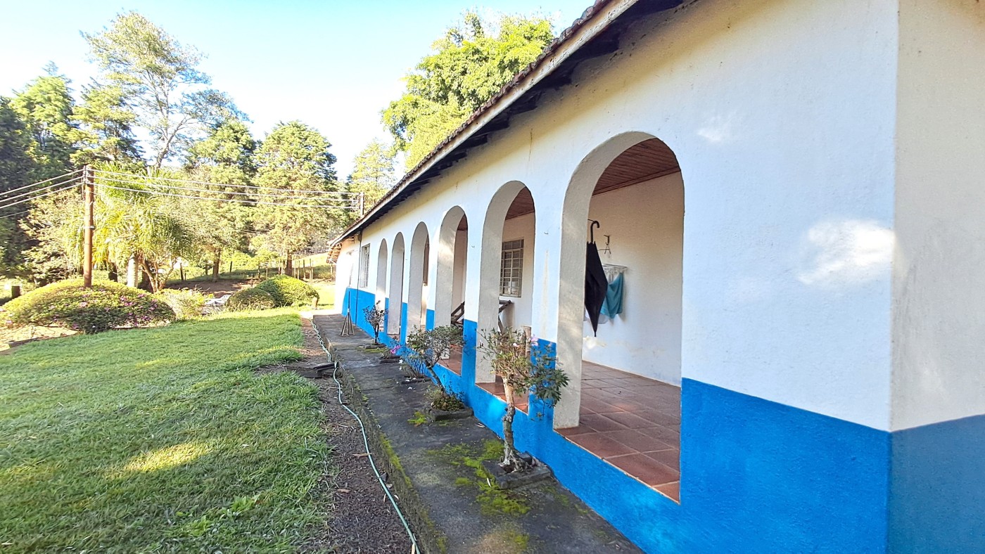 Sítio, 3 quartos, 4 hectares - Foto 12