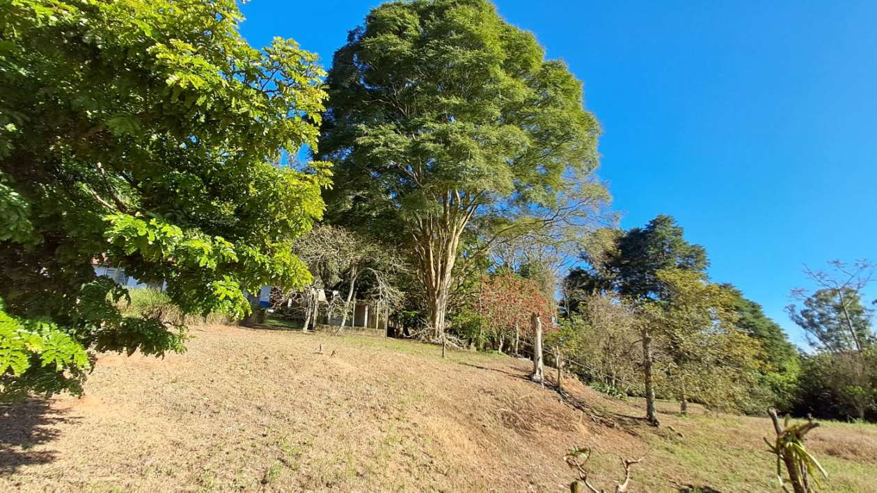 Sítio, 3 quartos, 4 hectares - Foto 19