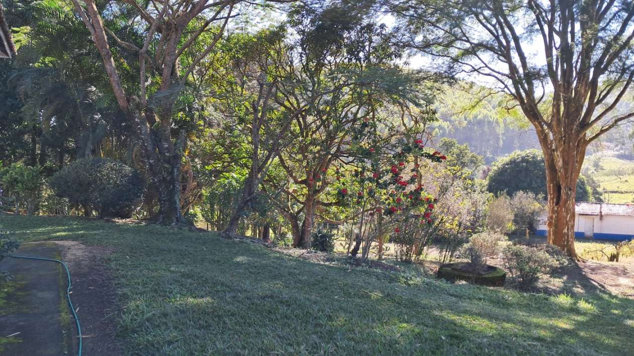 Sítio, 3 quartos, 4 hectares - Foto 14
