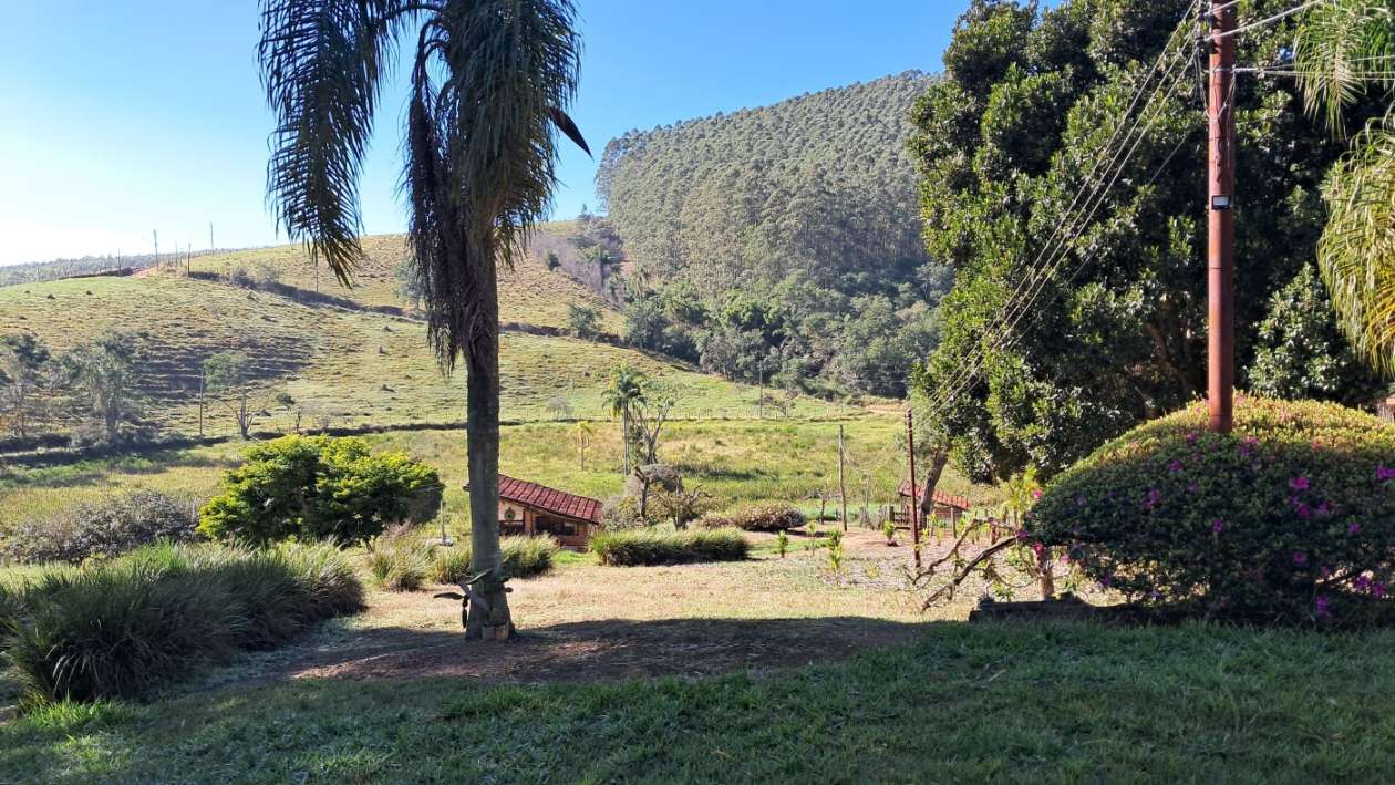 Sítio, 3 quartos, 4 hectares - Foto 3