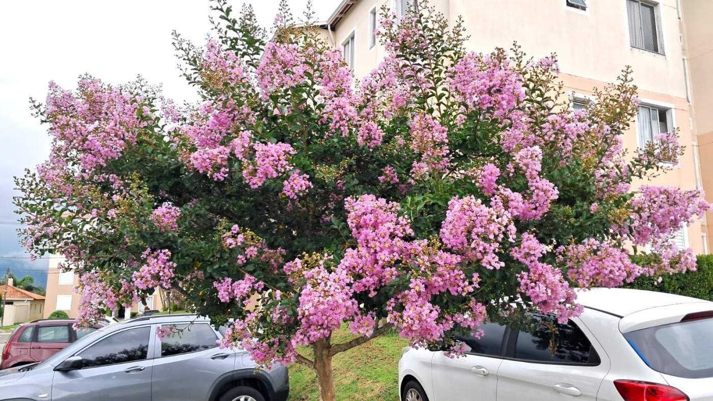 Apartamento, 2 quartos - Foto 17